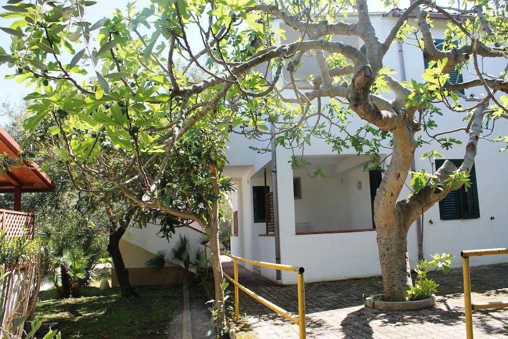 ויאסטה Green Garden Eco-Holiday מראה חיצוני תמונה